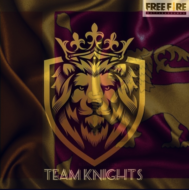 Team knights SL