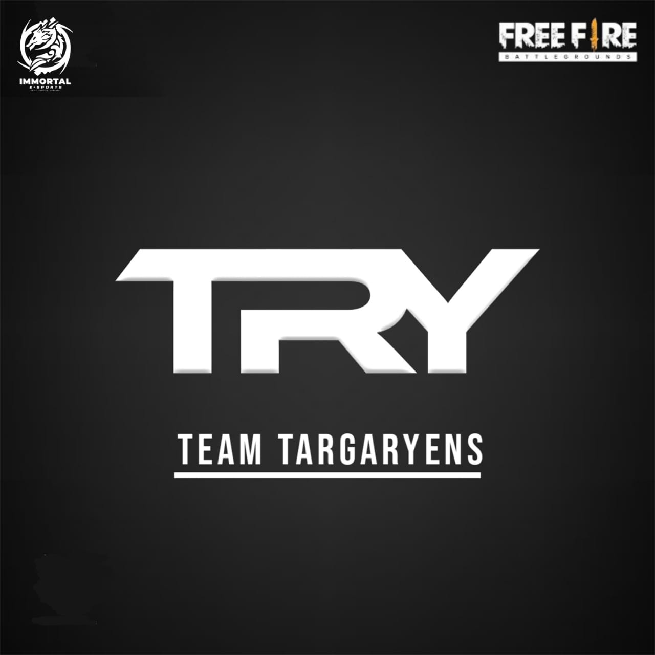 TEAM TRY