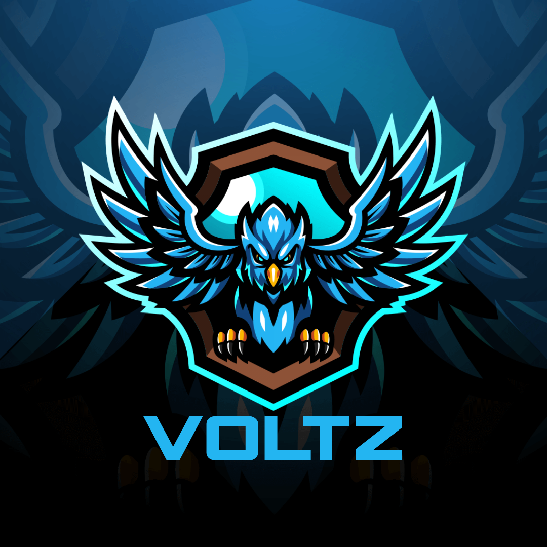 THE VOLTZZ