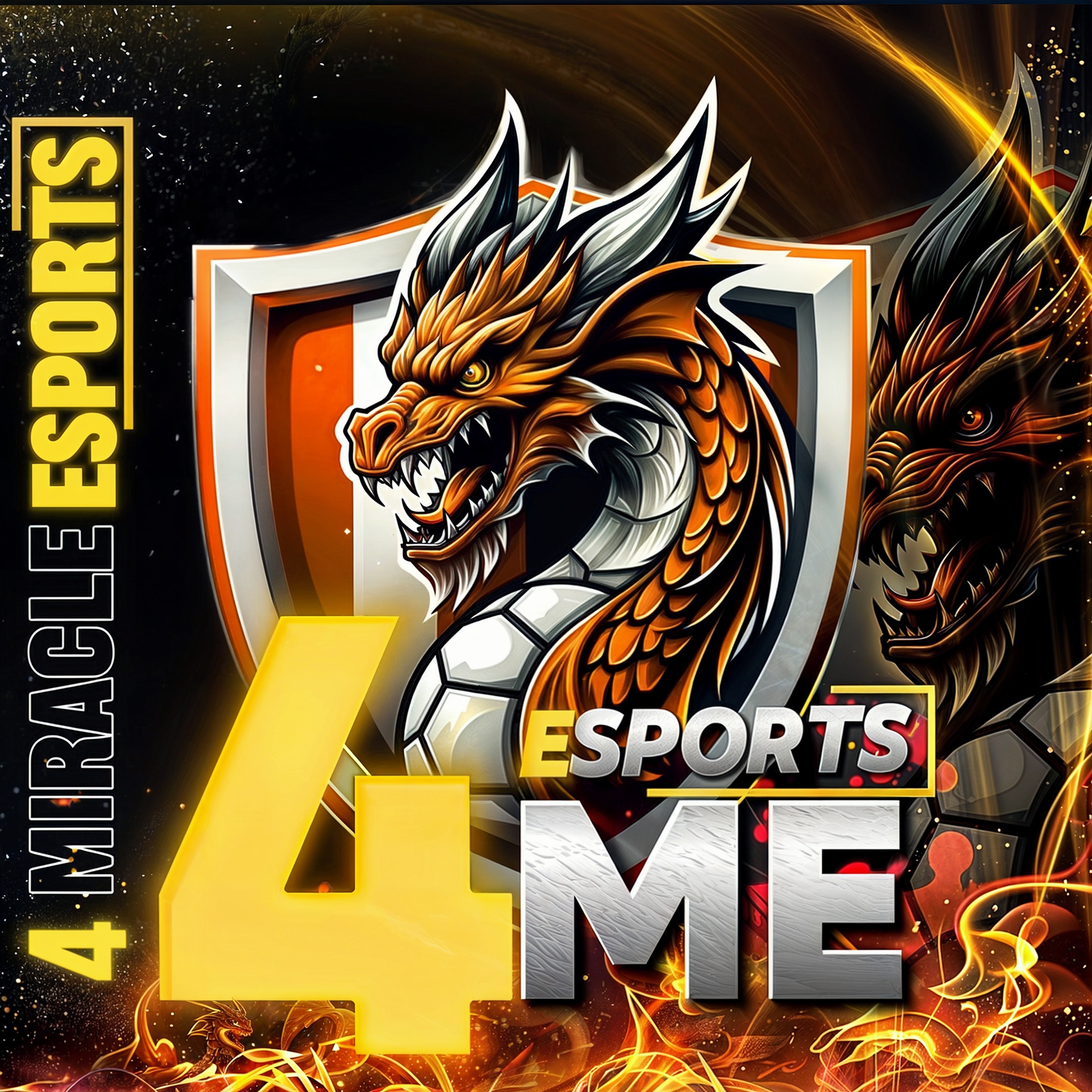 4MERICLE ESPORTS