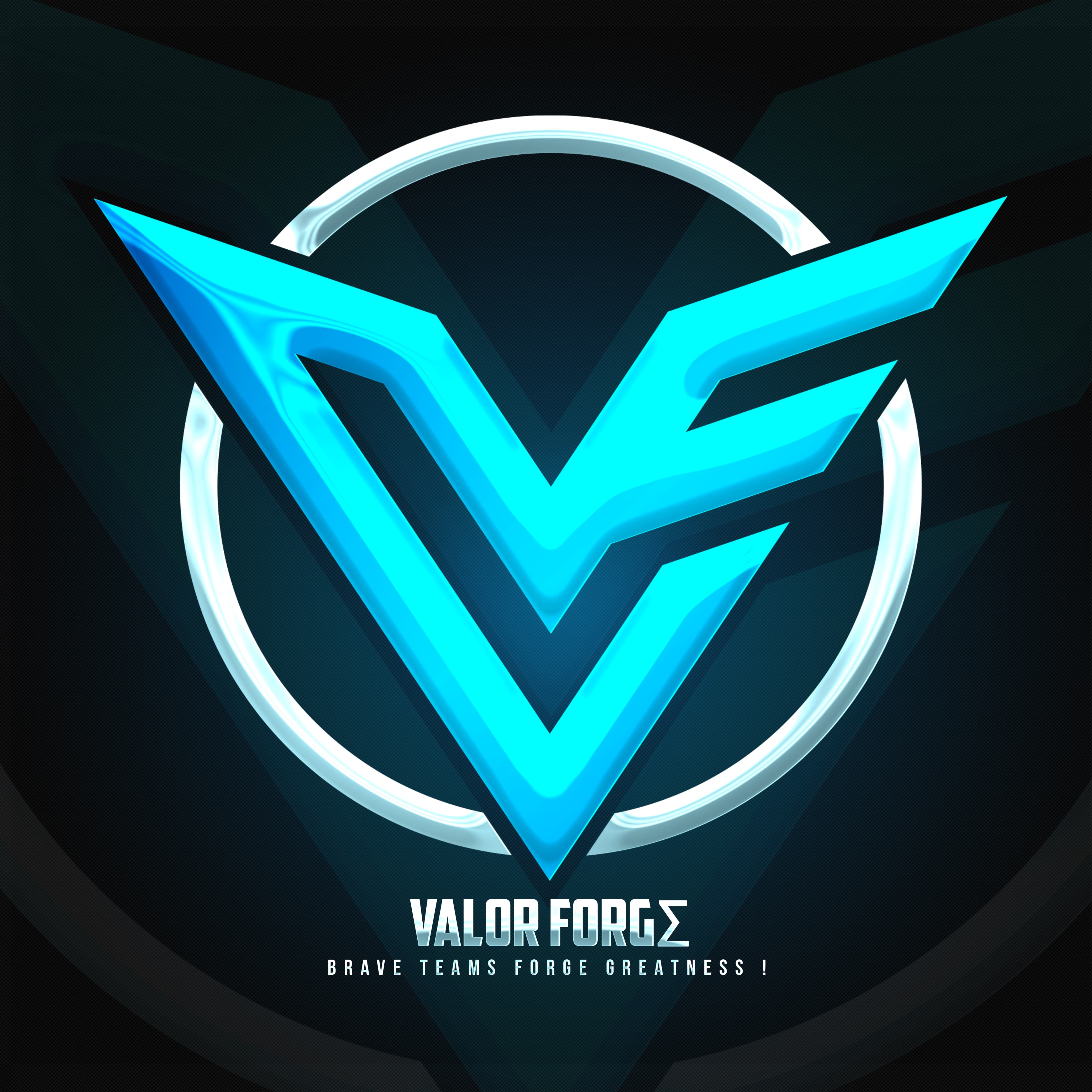 VALOR FORGE